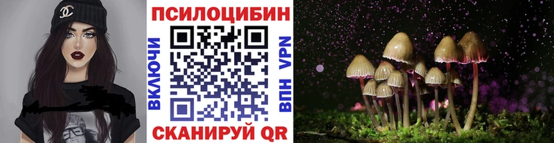 Купить где  Кувандык  Галлюциногенные грибы GOLDEN TEACHER 