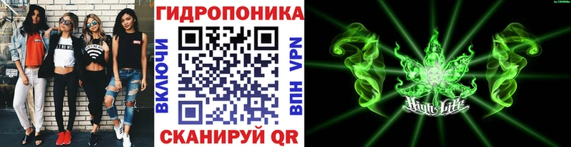 Бошки марихуана гибрид Купить Кувандык